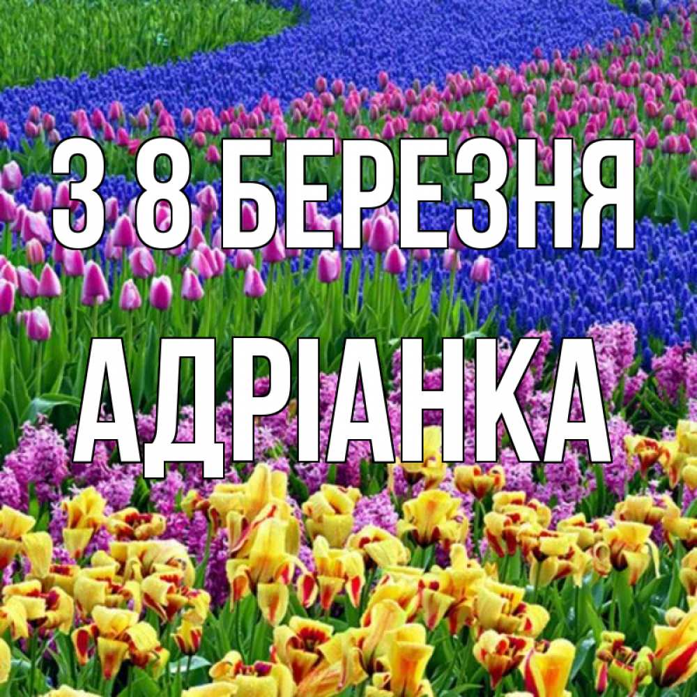 Открытка на каждый день з підписом, Адріанка З 8 БЕРЕЗНЯ цветы Прикольна листівка з побажанням онлайн скачати безкоштовно 