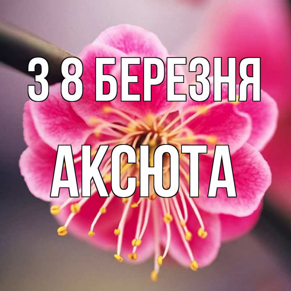 Открытка на каждый день з підписом, Аксюта З 8 БЕРЕЗНЯ цветы Прикольна листівка з побажанням онлайн скачати безкоштовно 