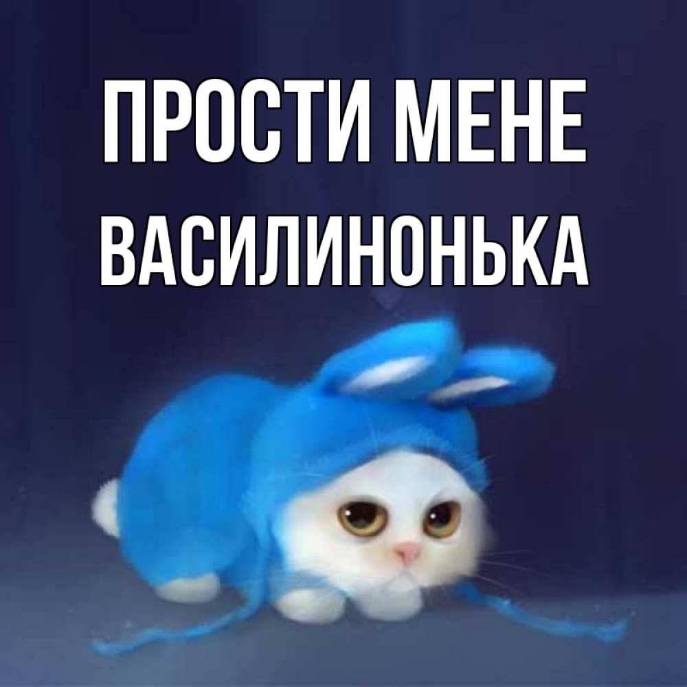 Открытка на каждый день з підписом, Василинонька Прости мене невинный котозай просит прощения Прикольна листівка з побажанням онлайн скачати безкоштовно 