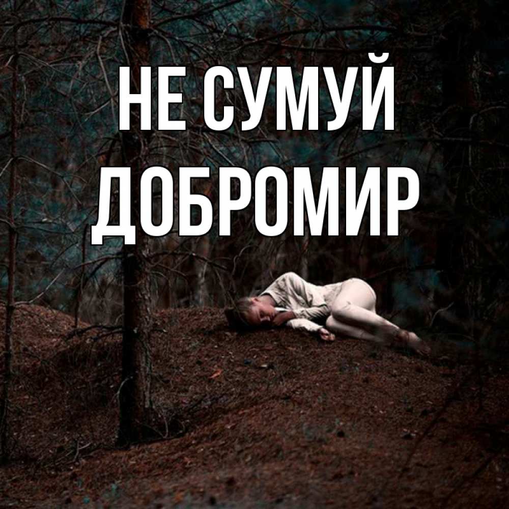Открытка на каждый день з підписом, Добромир Не сумуй лес Прикольна листівка з побажанням онлайн скачати безкоштовно 