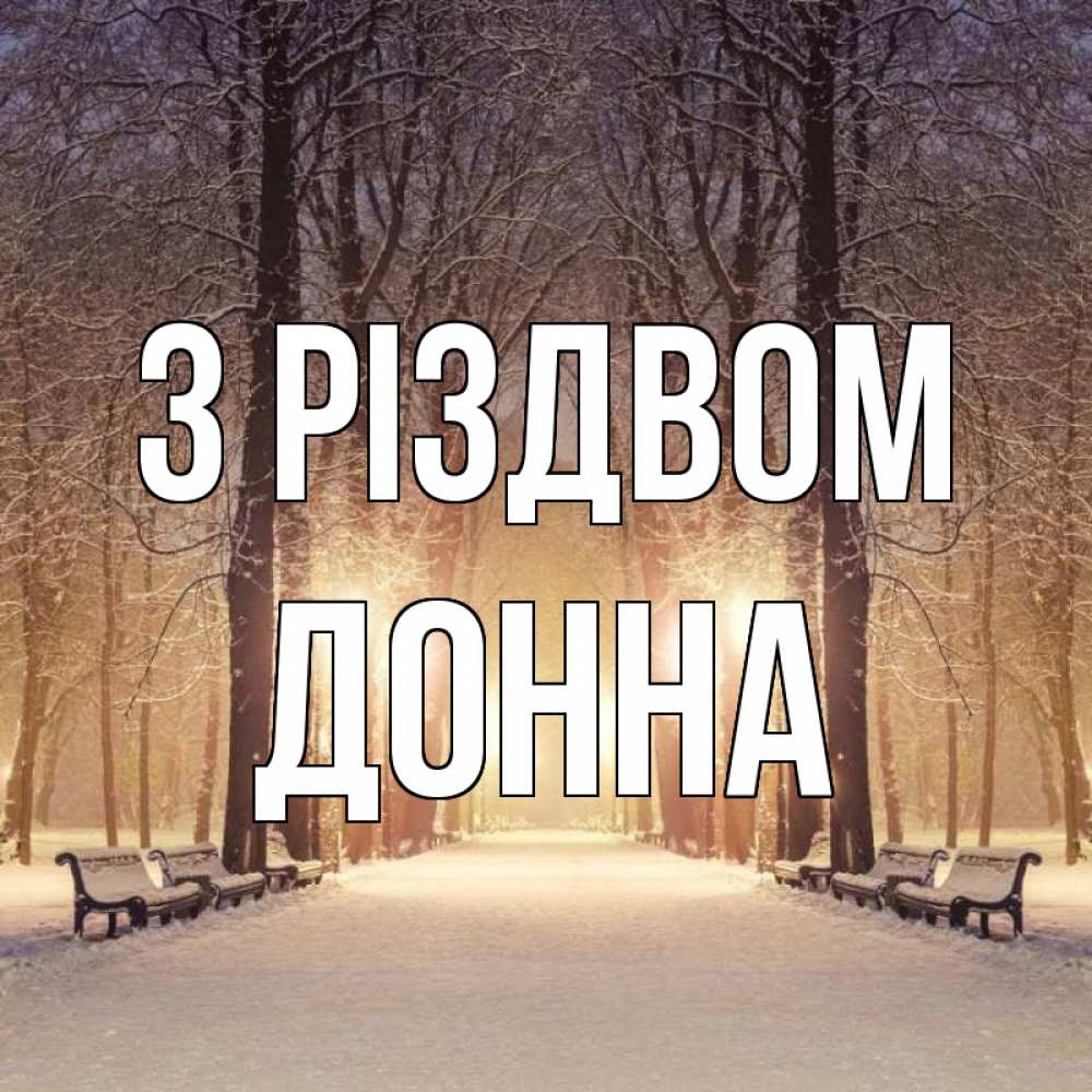 Открытка на каждый день з підписом, Донна З Різдвом зима, парк, фонарь, лес Прикольна листівка з побажанням онлайн скачати безкоштовно 