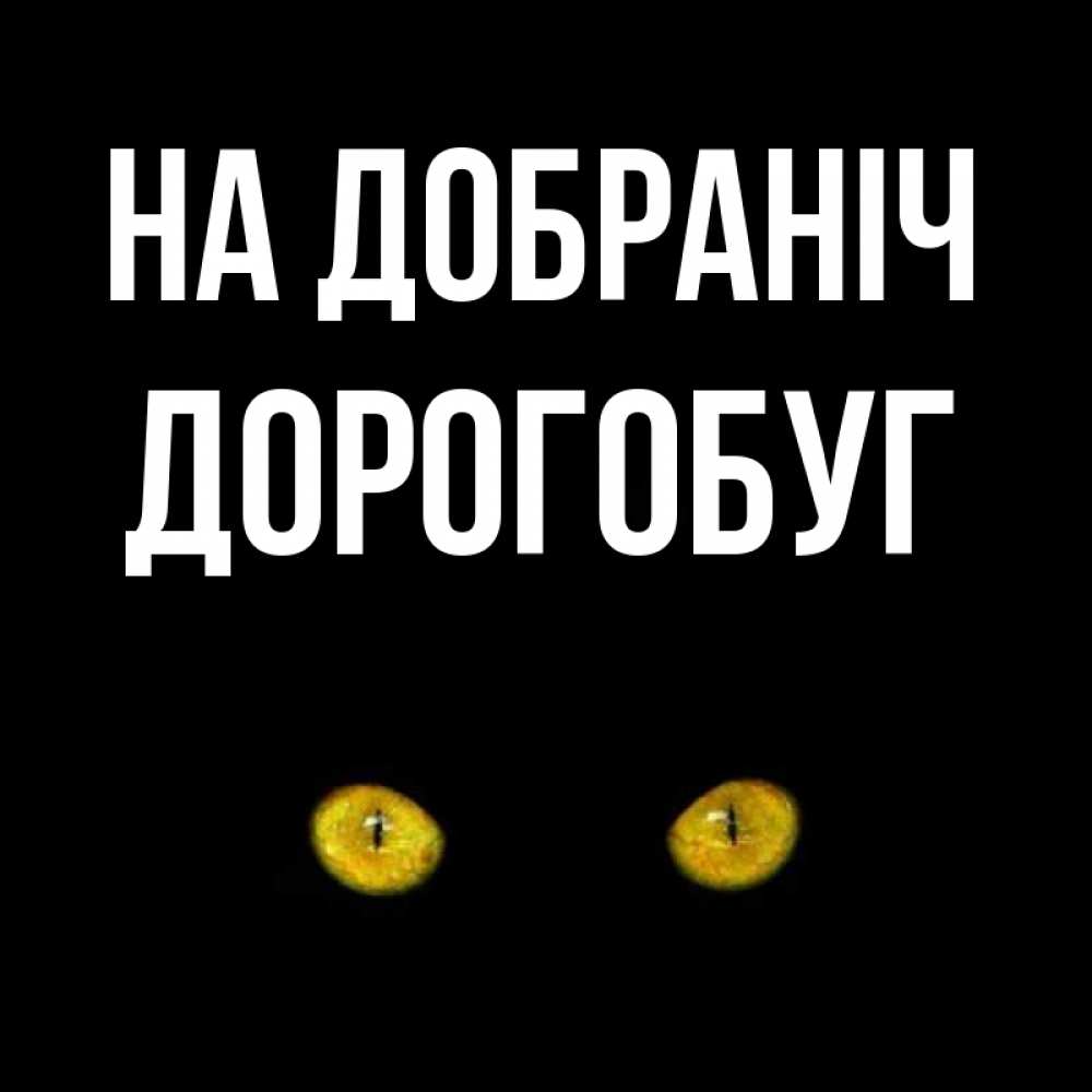 Листівка На добраніч, Дорогобуг