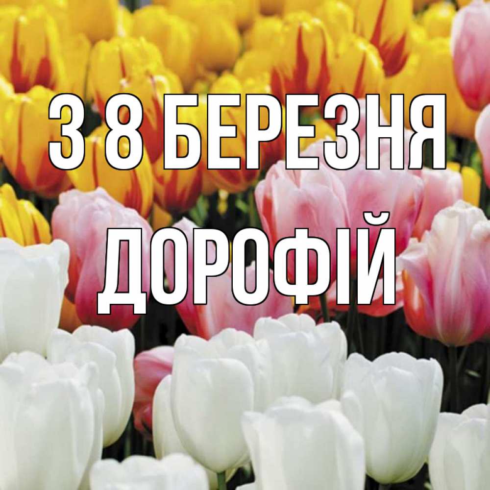 Открытка на каждый день з підписом, Дорофій З 8 БЕРЕЗНЯ разноцветные цветы Прикольна листівка з побажанням онлайн скачати безкоштовно 