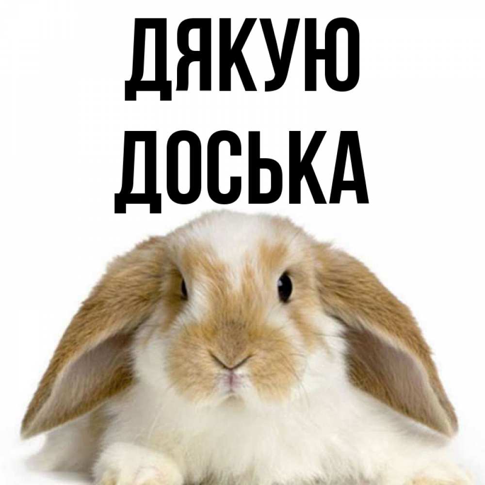 Открытка на каждый день з підписом, Доська Дякую коричнево белый заяц Прикольна листівка з побажанням онлайн скачати безкоштовно 