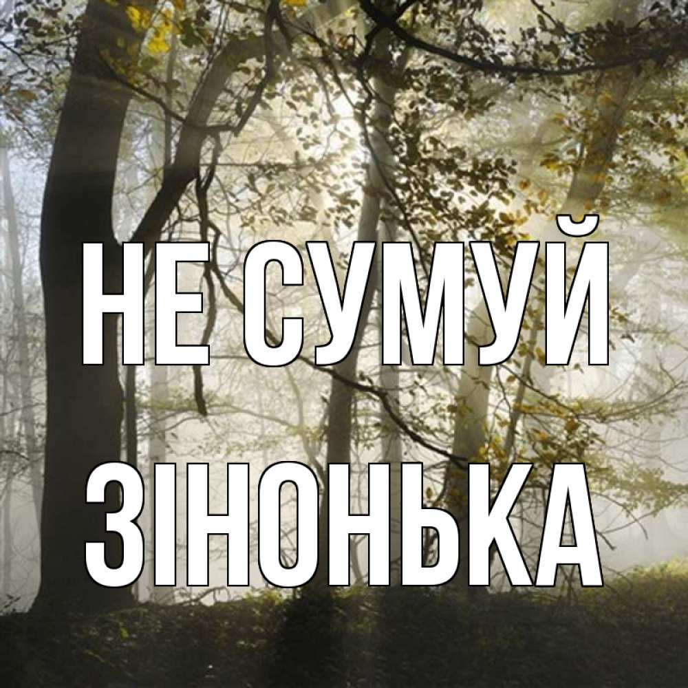 Открытка на каждый день з підписом, Зінонька Не сумуй лес и свет Прикольна листівка з побажанням онлайн скачати безкоштовно 