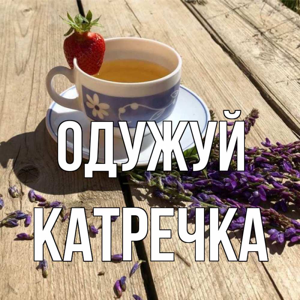 Открытка на каждый день з підписом, Катречка Одужуй чай Прикольна листівка з побажанням онлайн скачати безкоштовно 