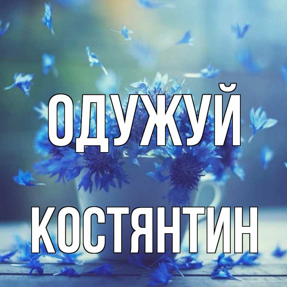 Открытка на каждый день з підписом, Костянтин Одужуй кружка с зельем и цветами Прикольна листівка з побажанням онлайн скачати безкоштовно 