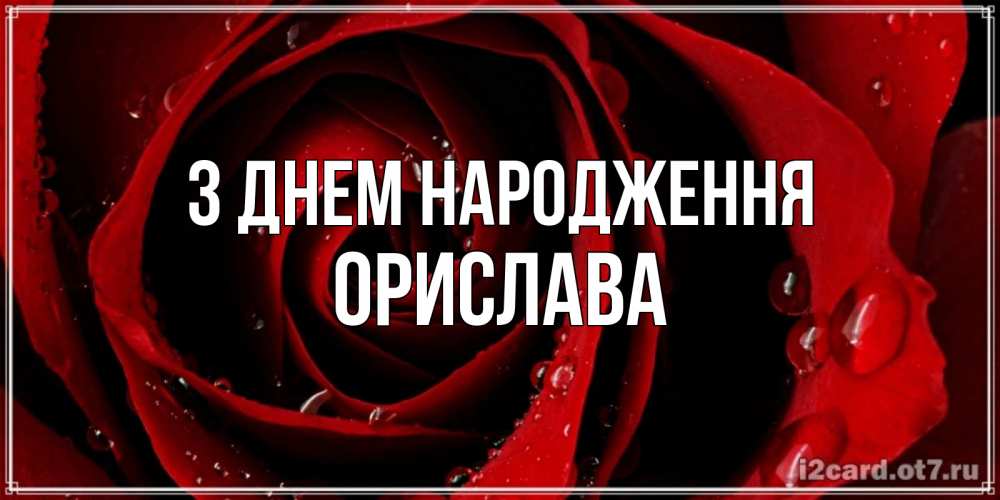 Открытка на каждый день з підписом, Орислава З Днем народження крупная бордовая роза Прикольна листівка з побажанням онлайн скачати безкоштовно 
