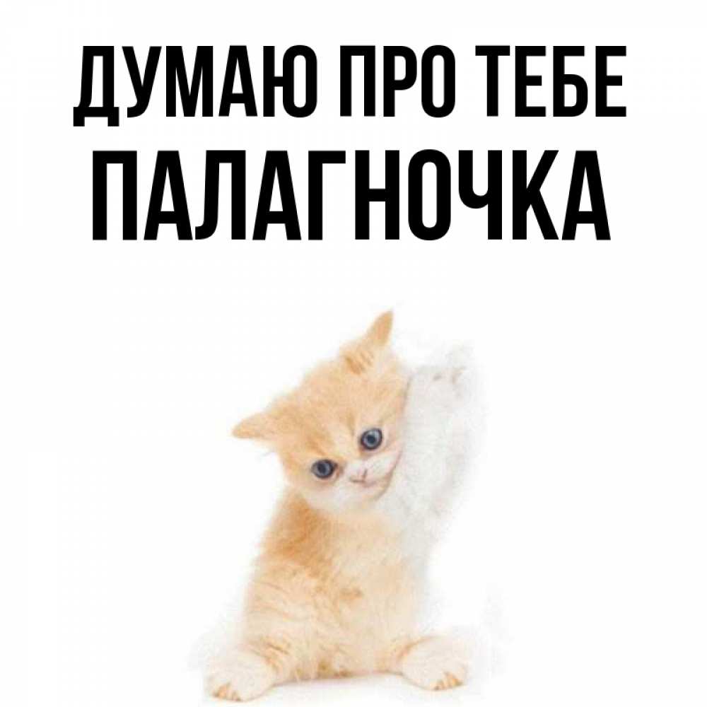Открытка на каждый день з підписом, Палагночка Думаю про тебе зверушки и милота Прикольна листівка з побажанням онлайн скачати безкоштовно 