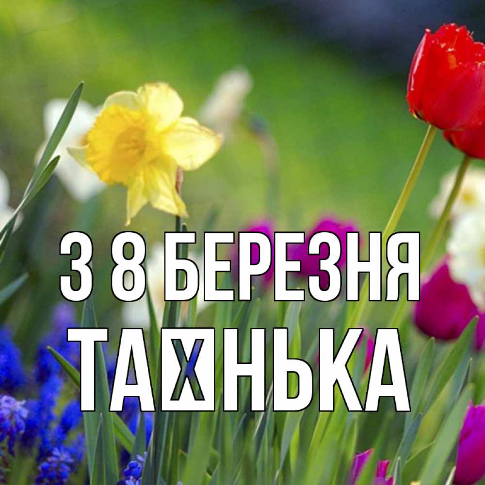 Открытка на каждый день з підписом, Таєнька З 8 БЕРЕЗНЯ международный женский день 3 Прикольна листівка з побажанням онлайн скачати безкоштовно 