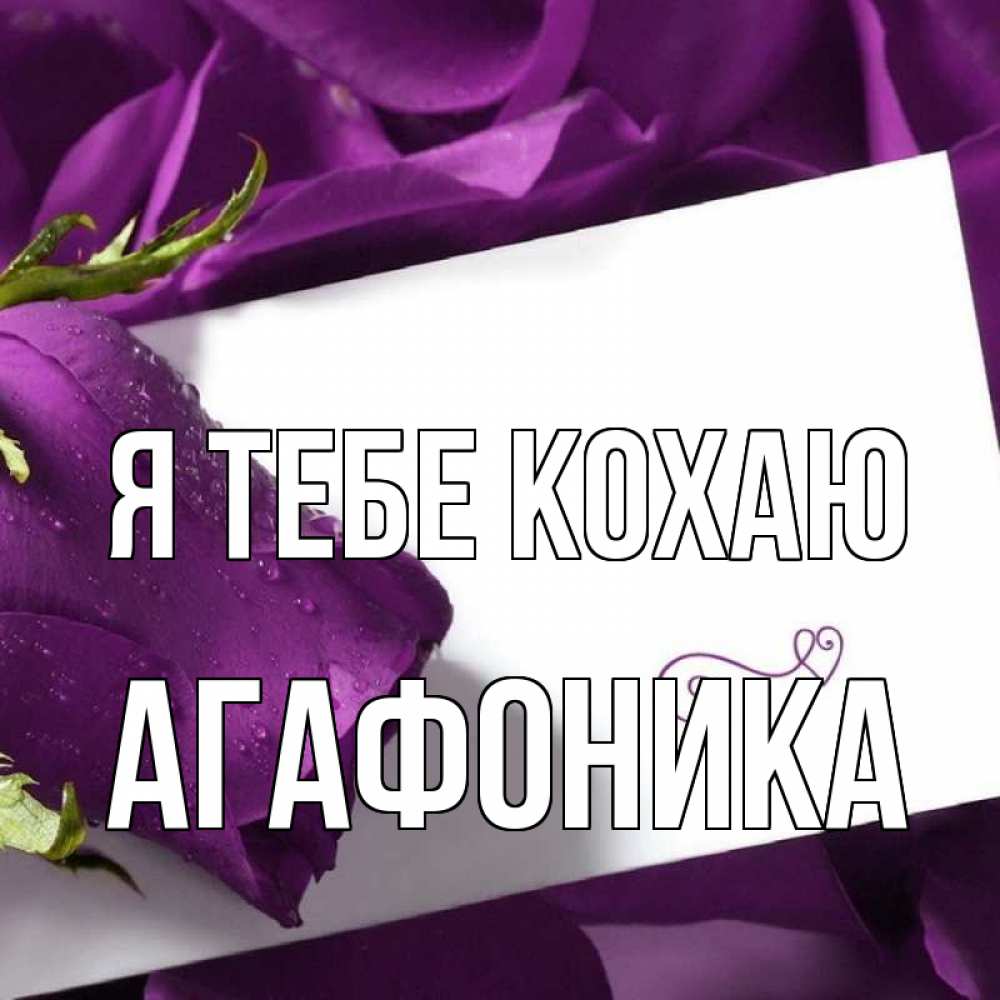 Открытка на каждый день з підписом, Агафоника Я тебе кохаю роза Прикольна листівка з побажанням онлайн скачати безкоштовно 