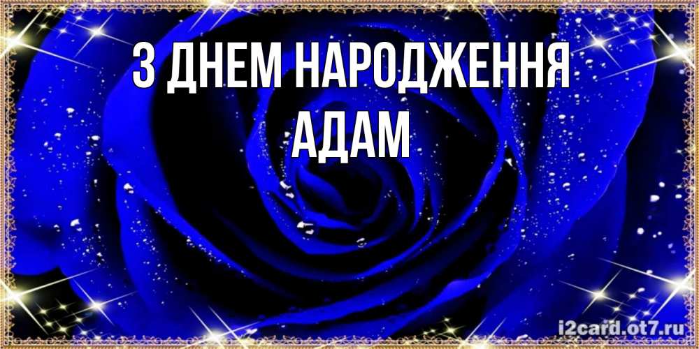 Открытка на каждый день з підписом, Адам З Днем народження голубые цветы в росе Прикольна листівка з побажанням онлайн скачати безкоштовно 