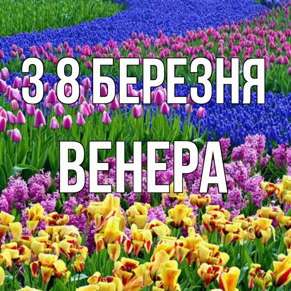 Открытка на каждый день з підписом, Венера З 8 БЕРЕЗНЯ цветы Прикольна листівка з побажанням онлайн скачати безкоштовно 
