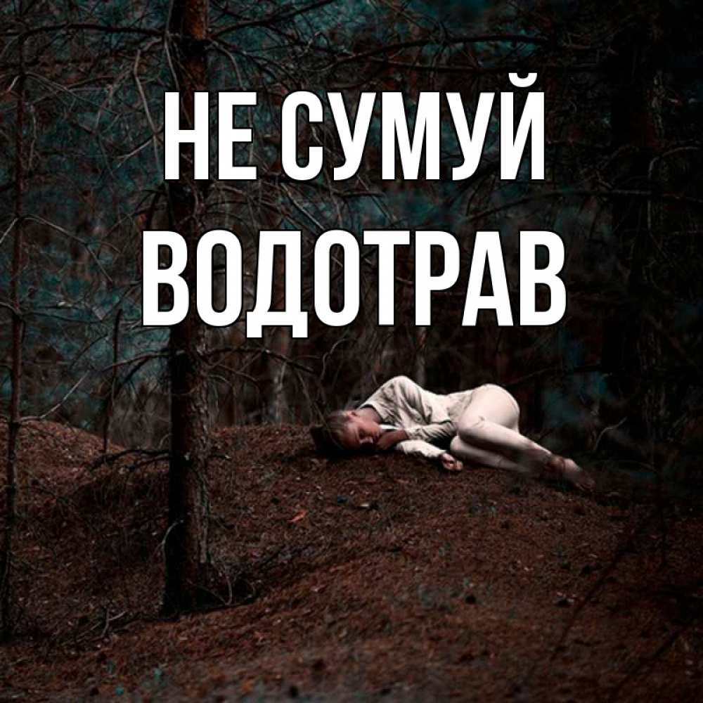 Открытка на каждый день з підписом, Водотрав Не сумуй лес Прикольна листівка з побажанням онлайн скачати безкоштовно 
