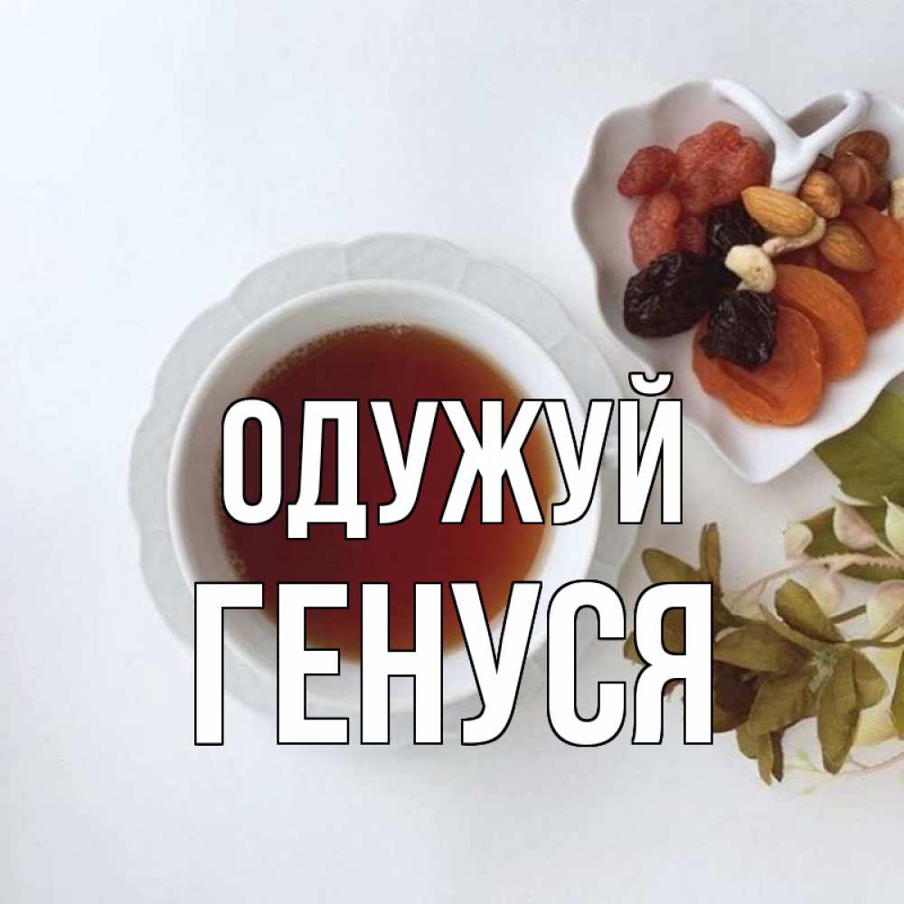 Открытка на каждый день з підписом, Генуся Одужуй неизвестные растения Прикольна листівка з побажанням онлайн скачати безкоштовно 