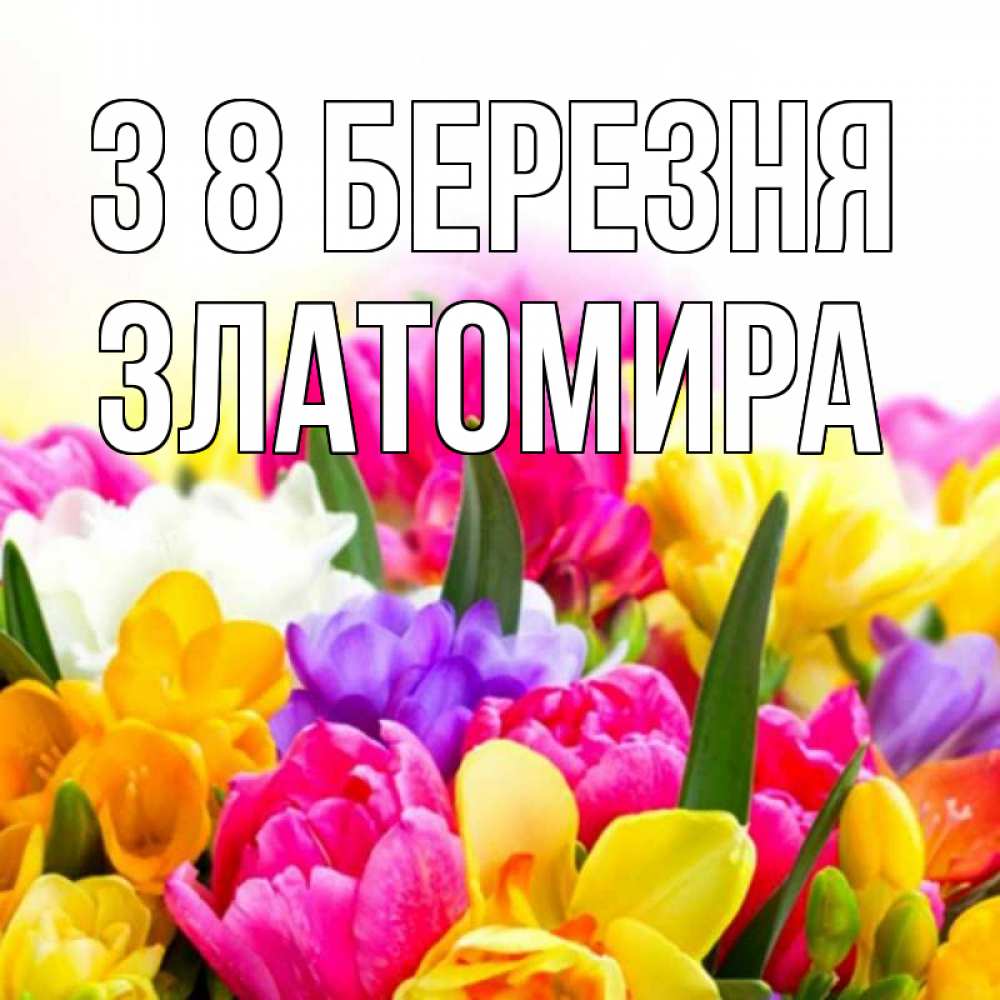 Открытка на каждый день з підписом, Златомира З 8 БЕРЕЗНЯ тюльпаны Прикольна листівка з побажанням онлайн скачати безкоштовно 