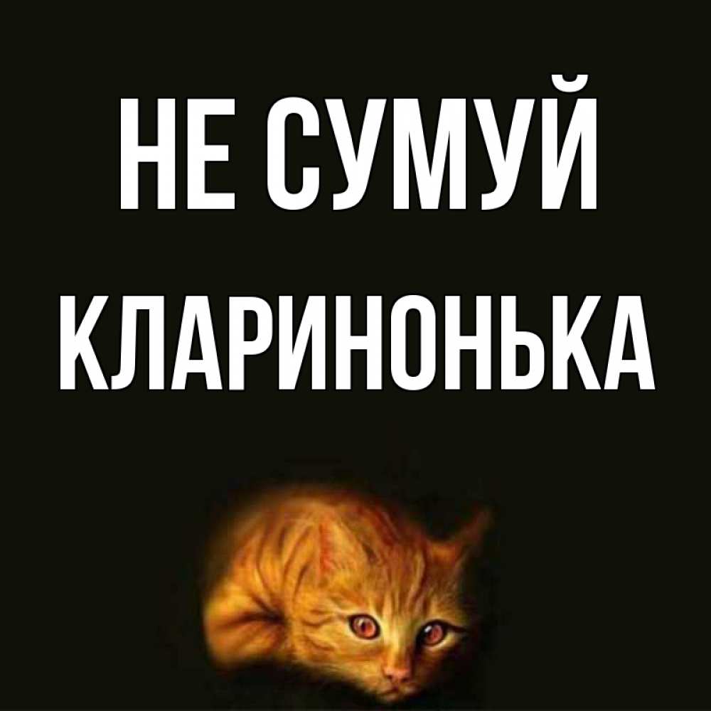 Открытка на каждый день з підписом, Кларинонька Не сумуй лежащий кот в темноте Прикольна листівка з побажанням онлайн скачати безкоштовно 