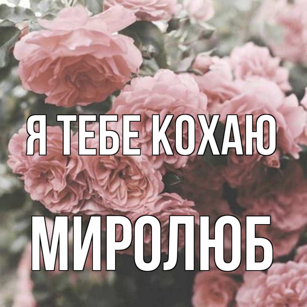 Открытка на каждый день з підписом, Миролюб Я тебе кохаю розы 3 Прикольна листівка з побажанням онлайн скачати безкоштовно 