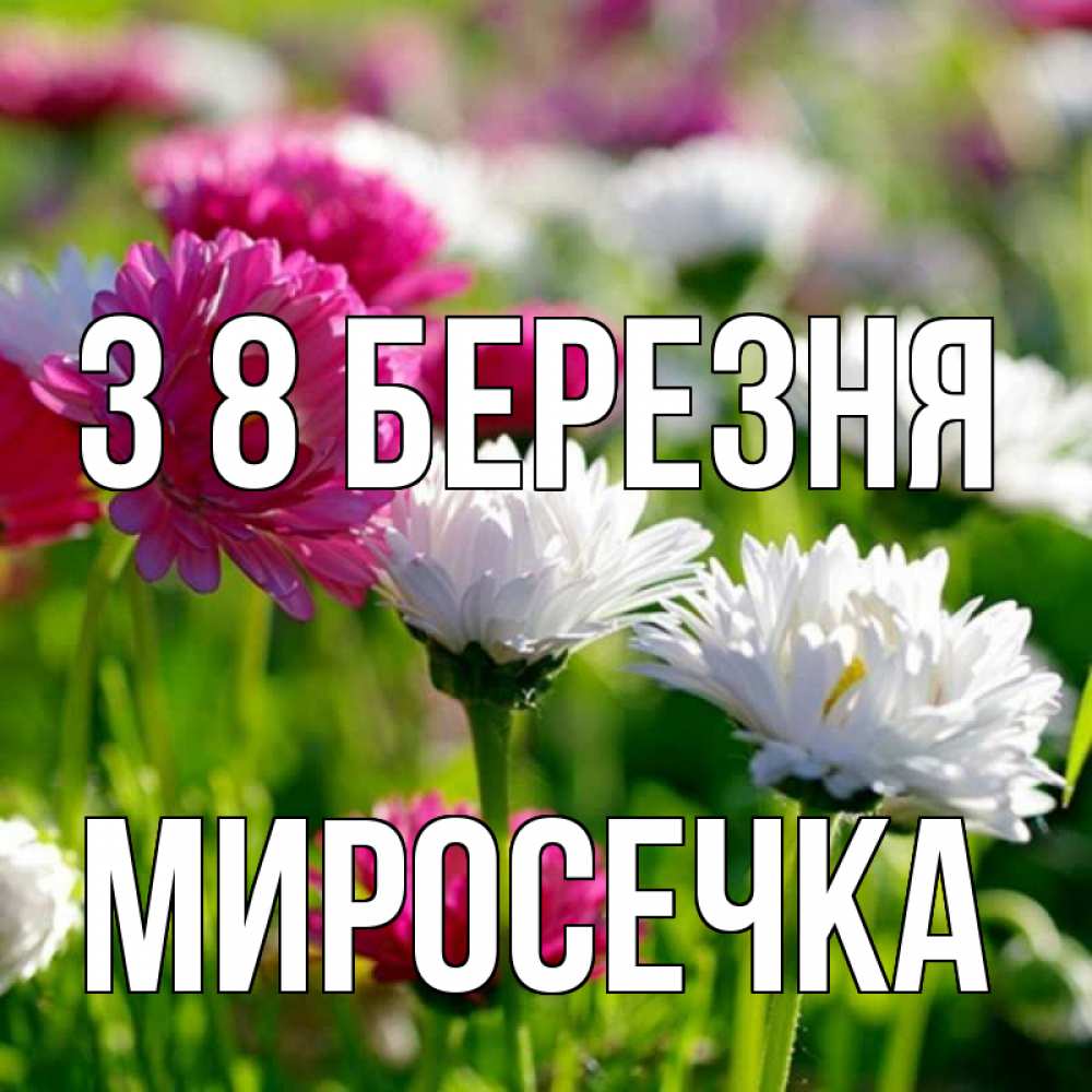 Открытка на каждый день з підписом, Миросечка З 8 БЕРЕЗНЯ международный женский день 1 Прикольна листівка з побажанням онлайн скачати безкоштовно 