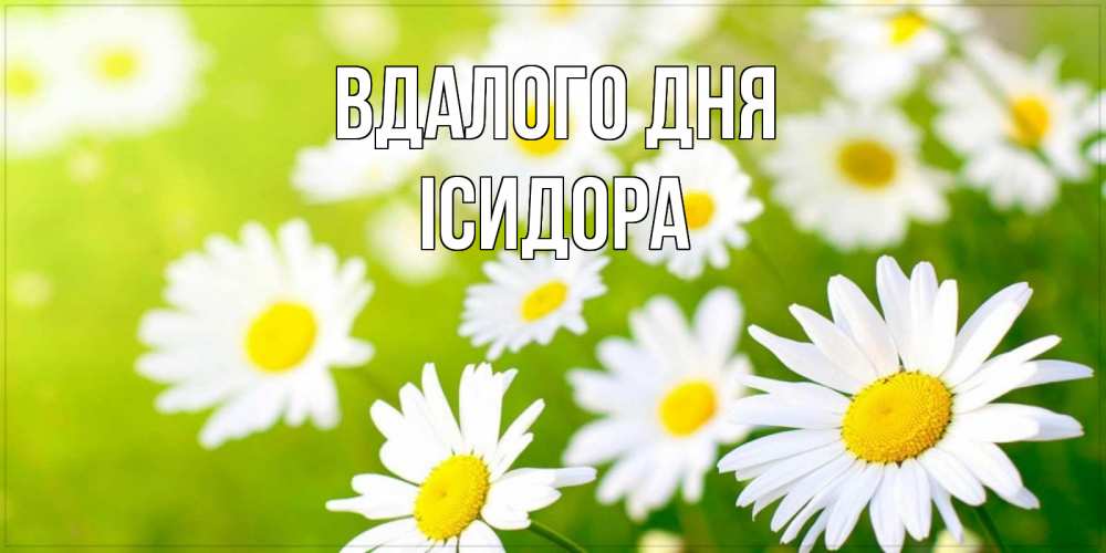 Открытка на каждый день з підписом, Ісидора Вдалого дня открытка с ромашками на зеленом фоне Прикольна листівка з побажанням онлайн скачати безкоштовно 