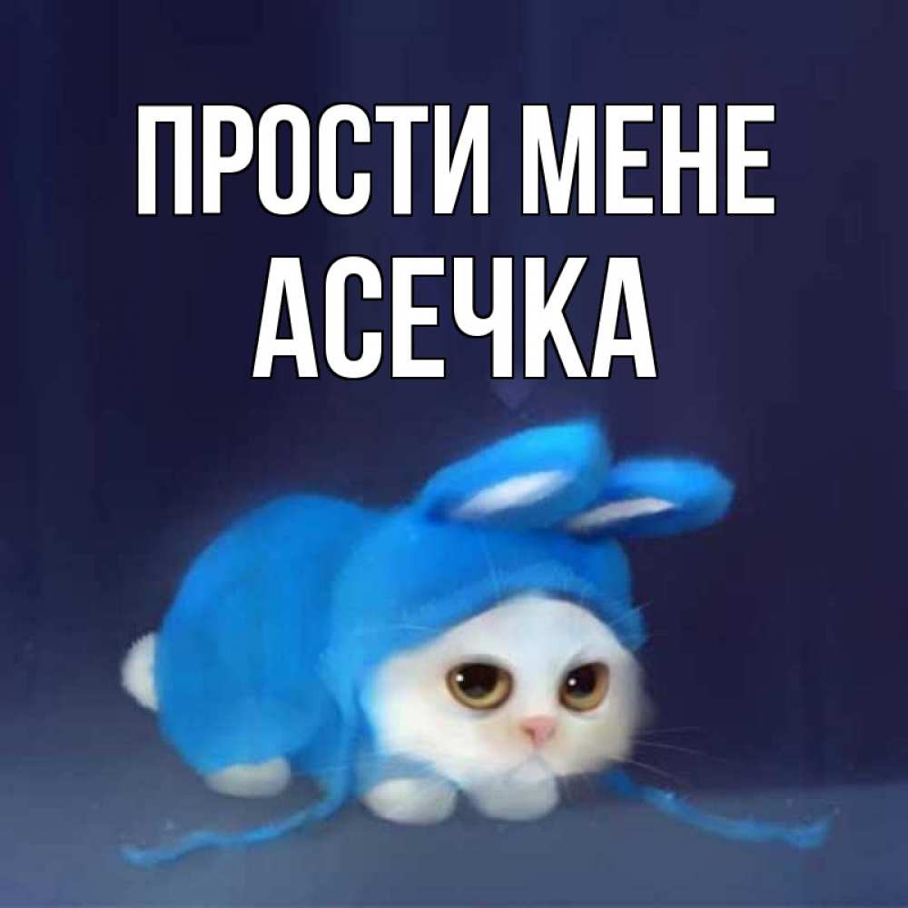 Открытка на каждый день з підписом, Асечка Прости мене невинный котозай просит прощения Прикольна листівка з побажанням онлайн скачати безкоштовно 