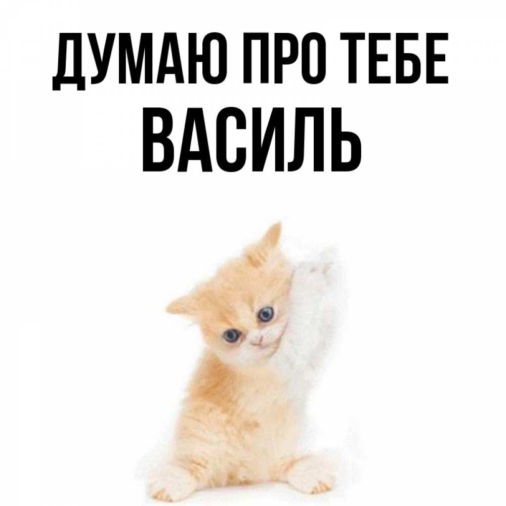 Открытка на каждый день з підписом, Василь Думаю про тебе зверушки и милота Прикольна листівка з побажанням онлайн скачати безкоштовно 
