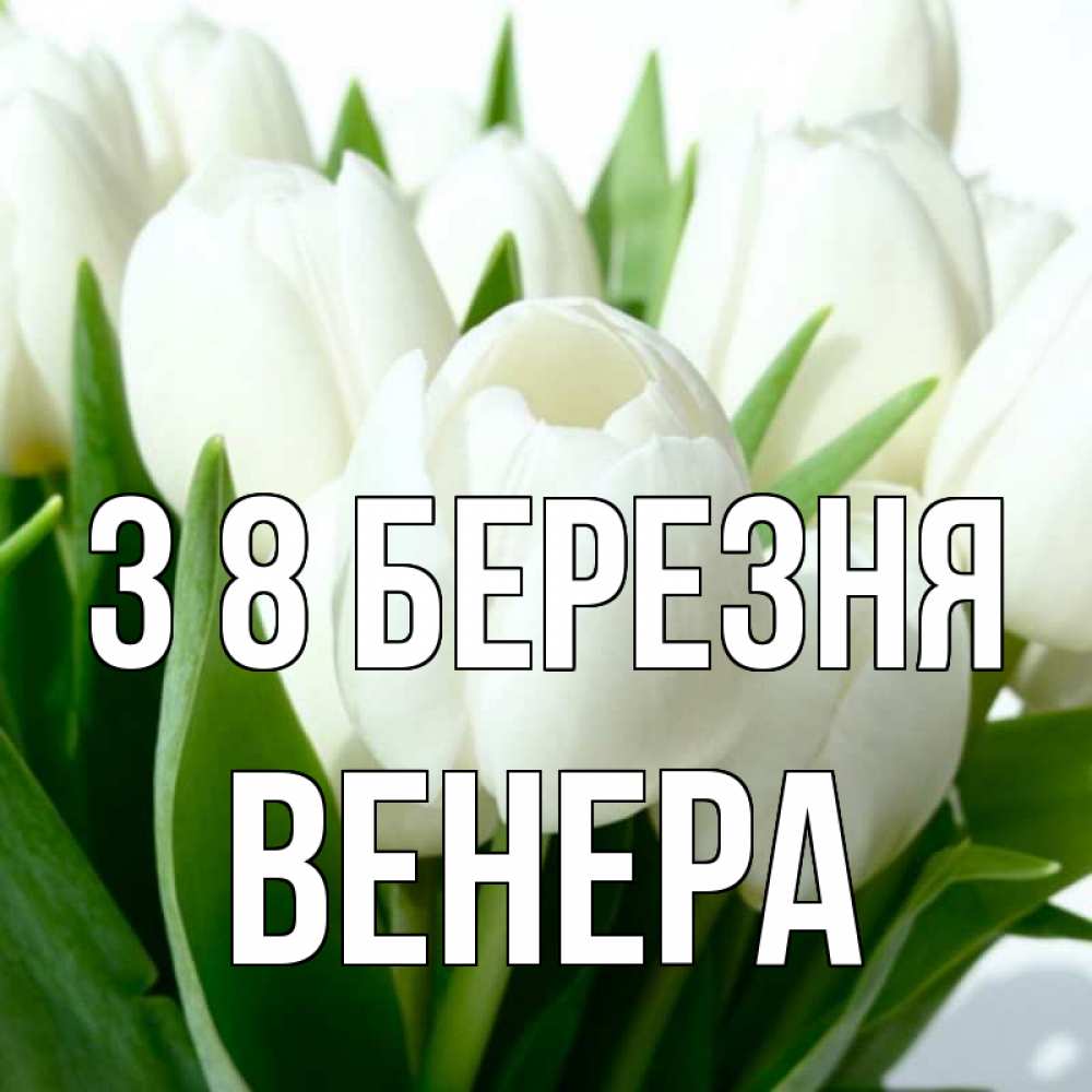 Открытка на каждый день з підписом, Венера З 8 БЕРЕЗНЯ цветы Прикольна листівка з побажанням онлайн скачати безкоштовно 