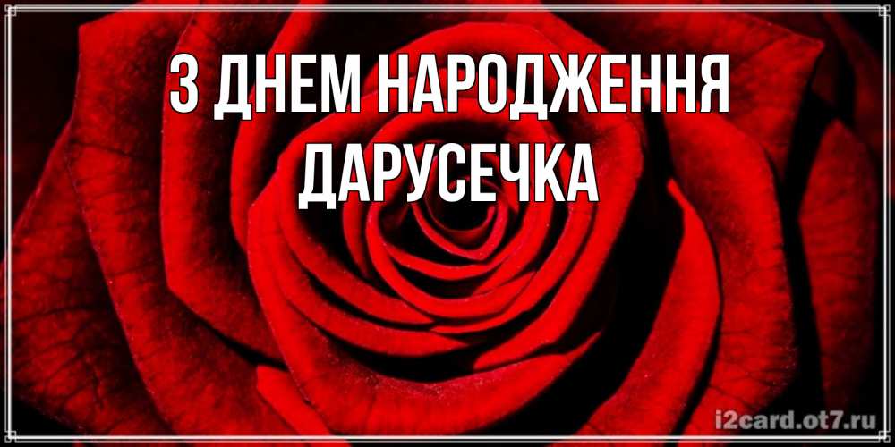 Открытка на каждый день з підписом, Дарусечка З Днем народження алая роза Прикольна листівка з побажанням онлайн скачати безкоштовно 
