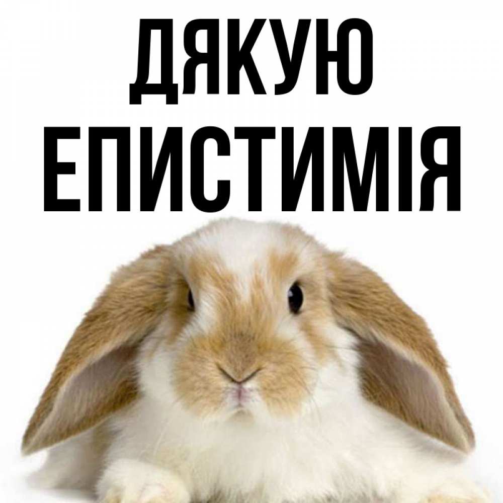 Открытка на каждый день з підписом, Епистимія Дякую коричнево белый заяц Прикольна листівка з побажанням онлайн скачати безкоштовно 