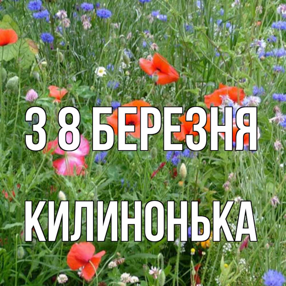 Открытка на каждый день з підписом, Килинонька З 8 БЕРЕЗНЯ международный женский день 4 Прикольна листівка з побажанням онлайн скачати безкоштовно 