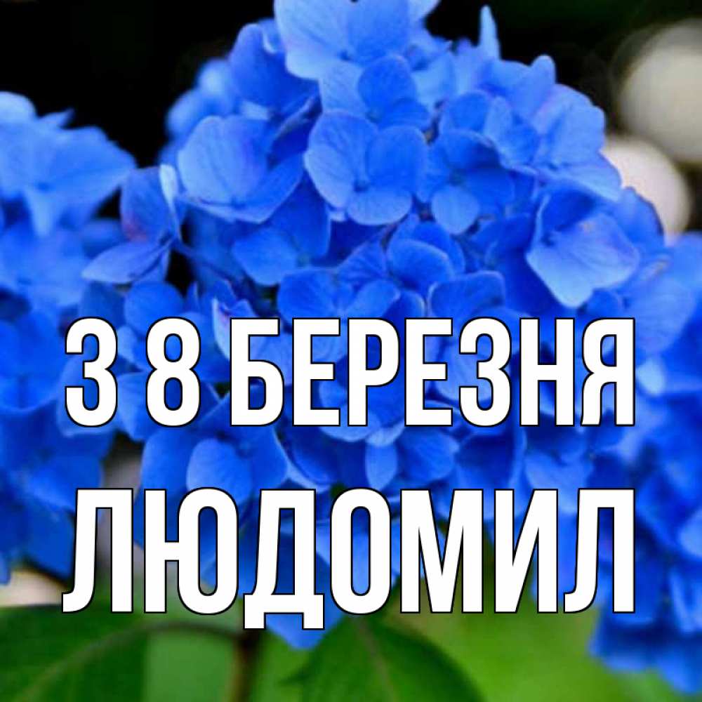 Открытка на каждый день з підписом, Людомил З 8 БЕРЕЗНЯ синие цветы Прикольна листівка з побажанням онлайн скачати безкоштовно 