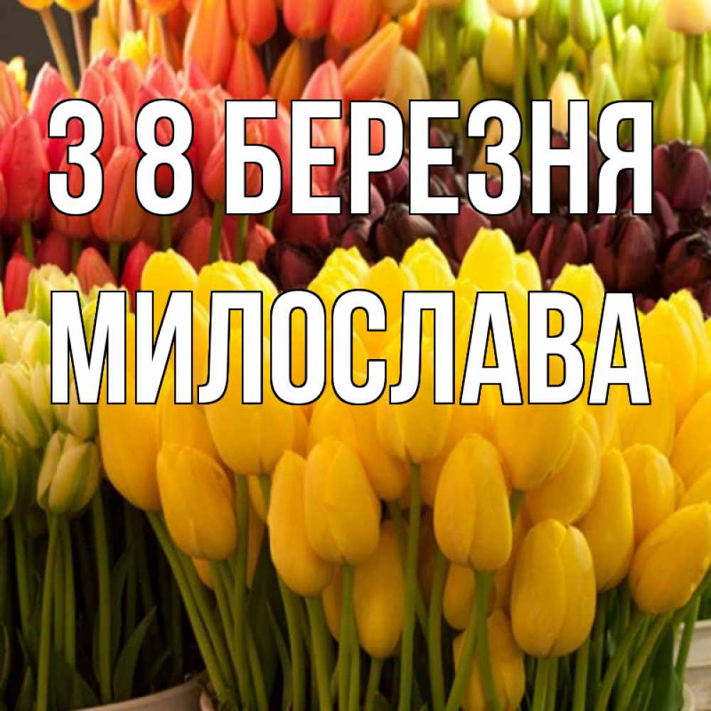 Открытка на каждый день з підписом, Милослава З 8 БЕРЕЗНЯ цветы Прикольна листівка з побажанням онлайн скачати безкоштовно 