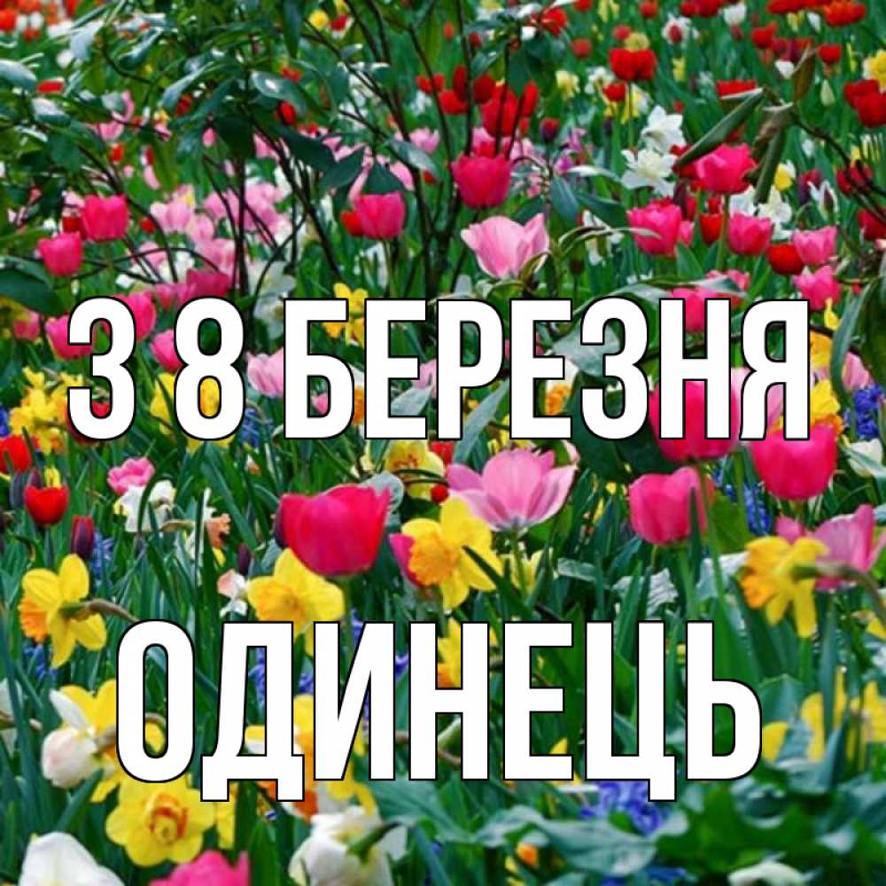 Открытка на каждый день з підписом, Одинець З 8 БЕРЕЗНЯ с международным женским днем поздравления для женщины Прикольна листівка з побажанням онлайн скачати безкоштовно 
