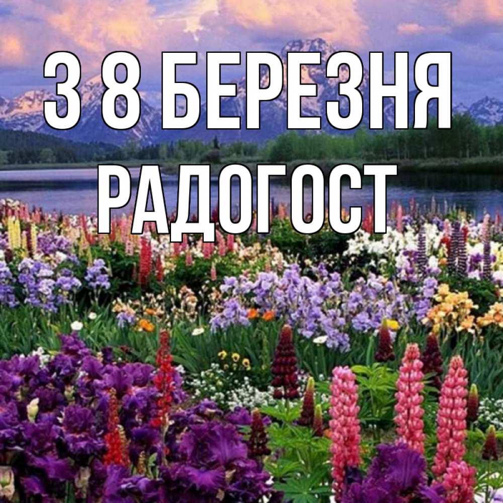 Открытка на каждый день з підписом, Радогост З 8 БЕРЕЗНЯ международный женский день Прикольна листівка з побажанням онлайн скачати безкоштовно 