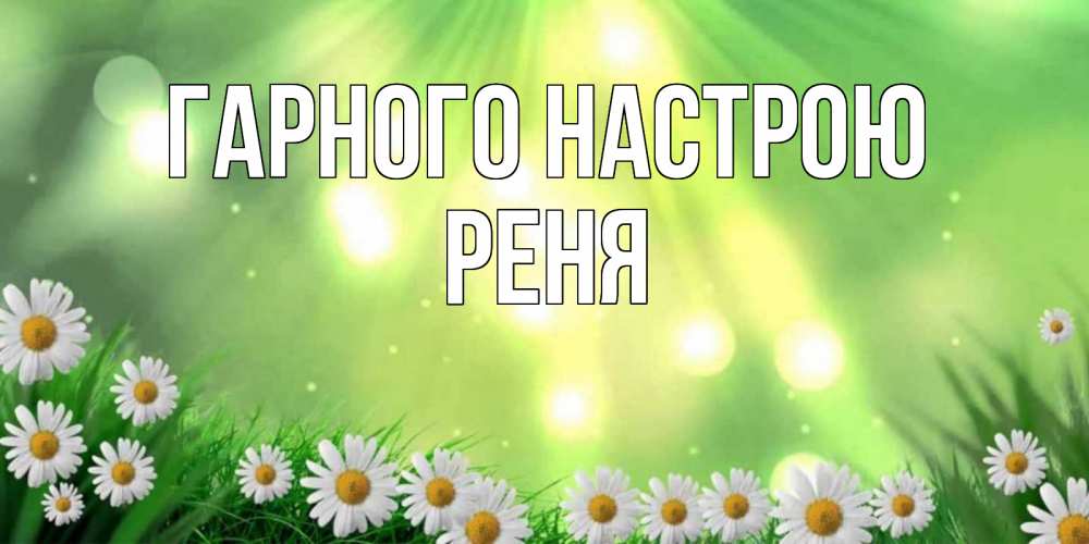 Открытка на каждый день з підписом, Реня Гарного настрою открытка с ромашками и солнечными лучами Прикольна листівка з побажанням онлайн скачати безкоштовно 