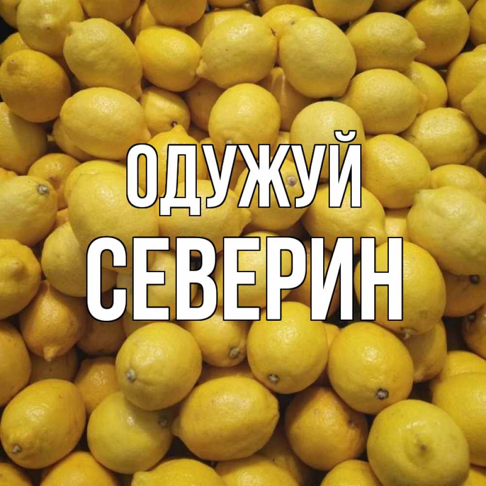 Открытка на каждый день з підписом, Северин Одужуй это точно поможет Прикольна листівка з побажанням онлайн скачати безкоштовно 