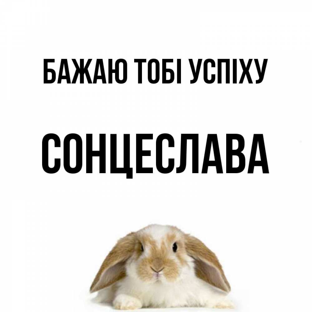 Открытка на каждый день з підписом, Сонцеслава Бажаю тобі успіху открытки с произвольным текстом который можно вставить в открытку и создать ее самостоятельно бесплатно онлайн Прикольна листівка з побажанням онлайн скачати безкоштовно 