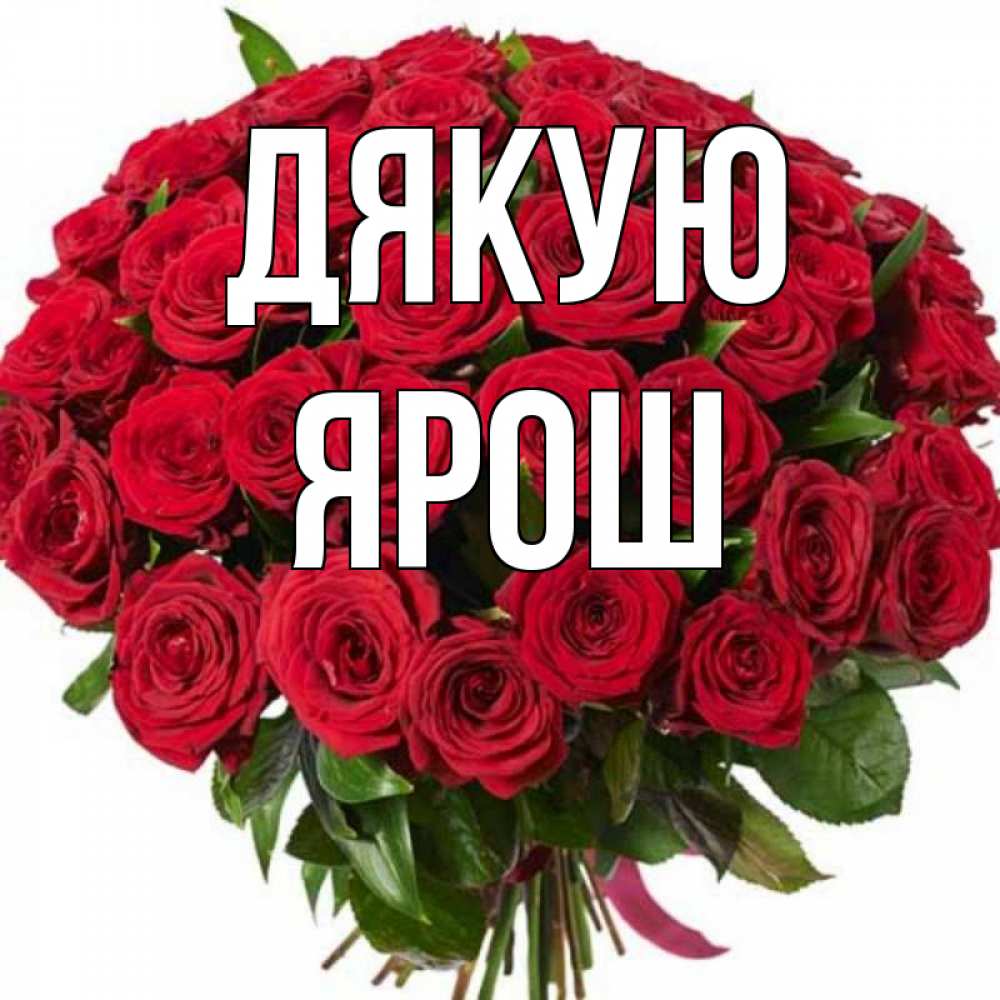 Открытка на каждый день з підписом, Ярош Дякую букет красных роз Прикольна листівка з побажанням онлайн скачати безкоштовно 