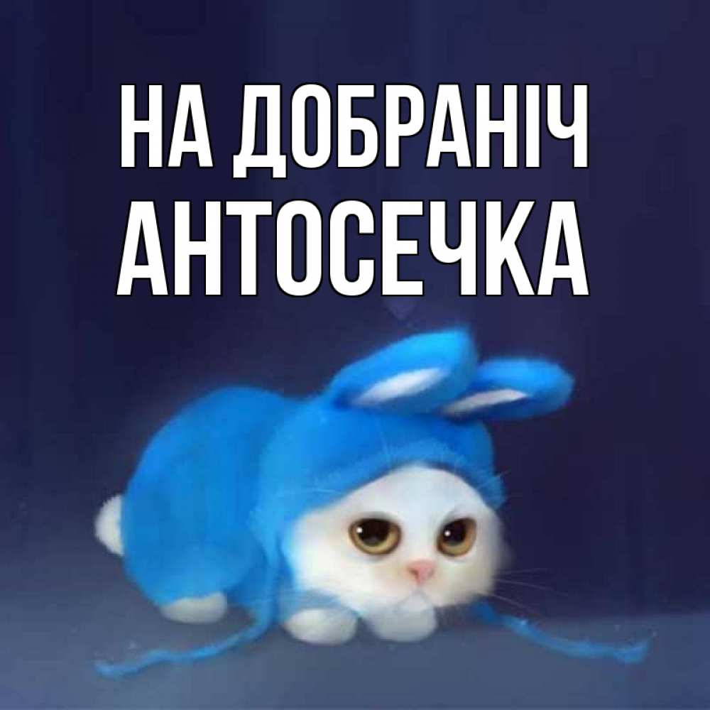 Открытка на каждый день з підписом, Антосечка На добраніч кот в голубом костюме кролика с ушками Прикольна листівка з побажанням онлайн скачати безкоштовно 