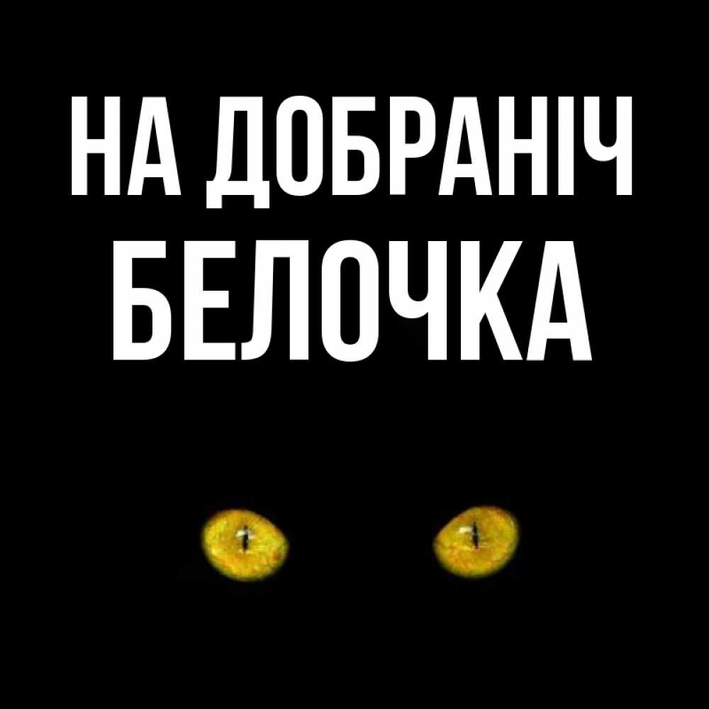 Открытка на каждый день з підписом, Белочка На добраніч сладких снов бесстрашный мой дружочек Прикольна листівка з побажанням онлайн скачати безкоштовно 