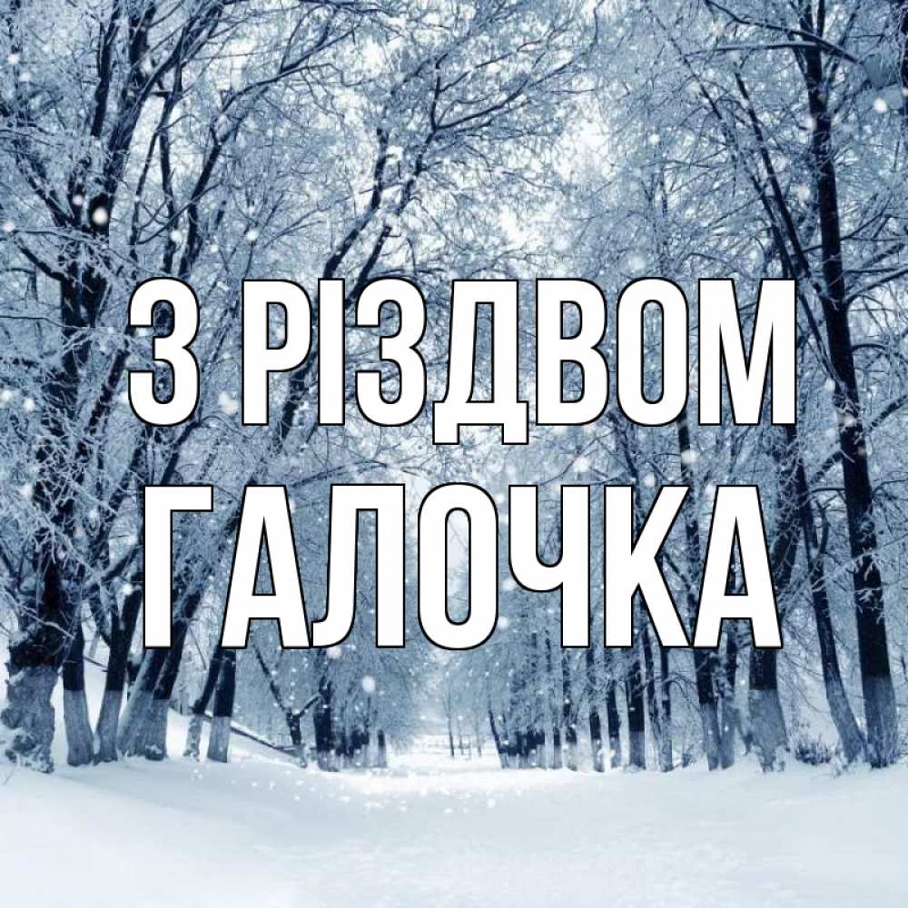 Открытка на каждый день з підписом, Галочка З Різдвом снег, лес, парк Прикольна листівка з побажанням онлайн скачати безкоштовно 