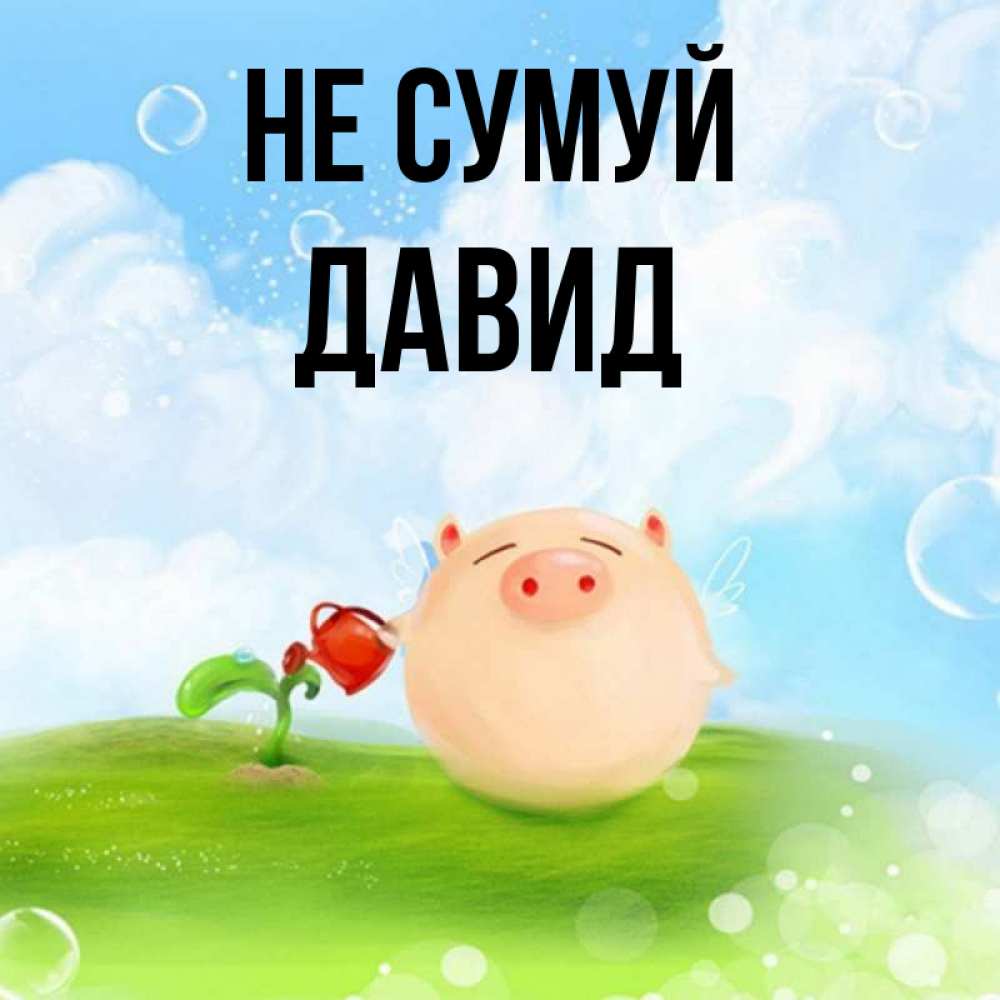 Открытка на каждый день з підписом, Давид Не сумуй поливает цветок порося Прикольна листівка з побажанням онлайн скачати безкоштовно 