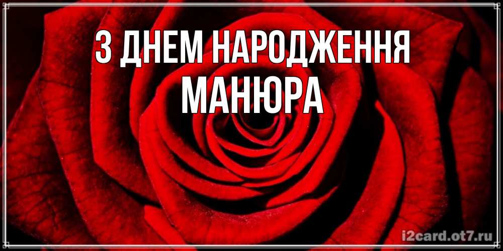 Открытка на каждый день з підписом, Манюра З Днем народження алая роза Прикольна листівка з побажанням онлайн скачати безкоштовно 