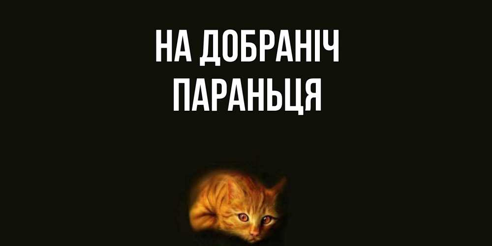 Открытка на каждый день з підписом, Параньця На добраніч кот Прикольна листівка з побажанням онлайн скачати безкоштовно 
