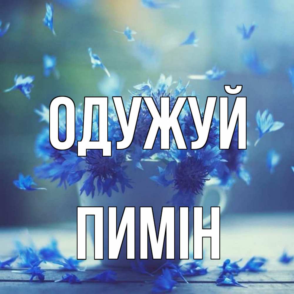 Открытка на каждый день з підписом, Пимін Одужуй кружка с зельем и цветами Прикольна листівка з побажанням онлайн скачати безкоштовно 