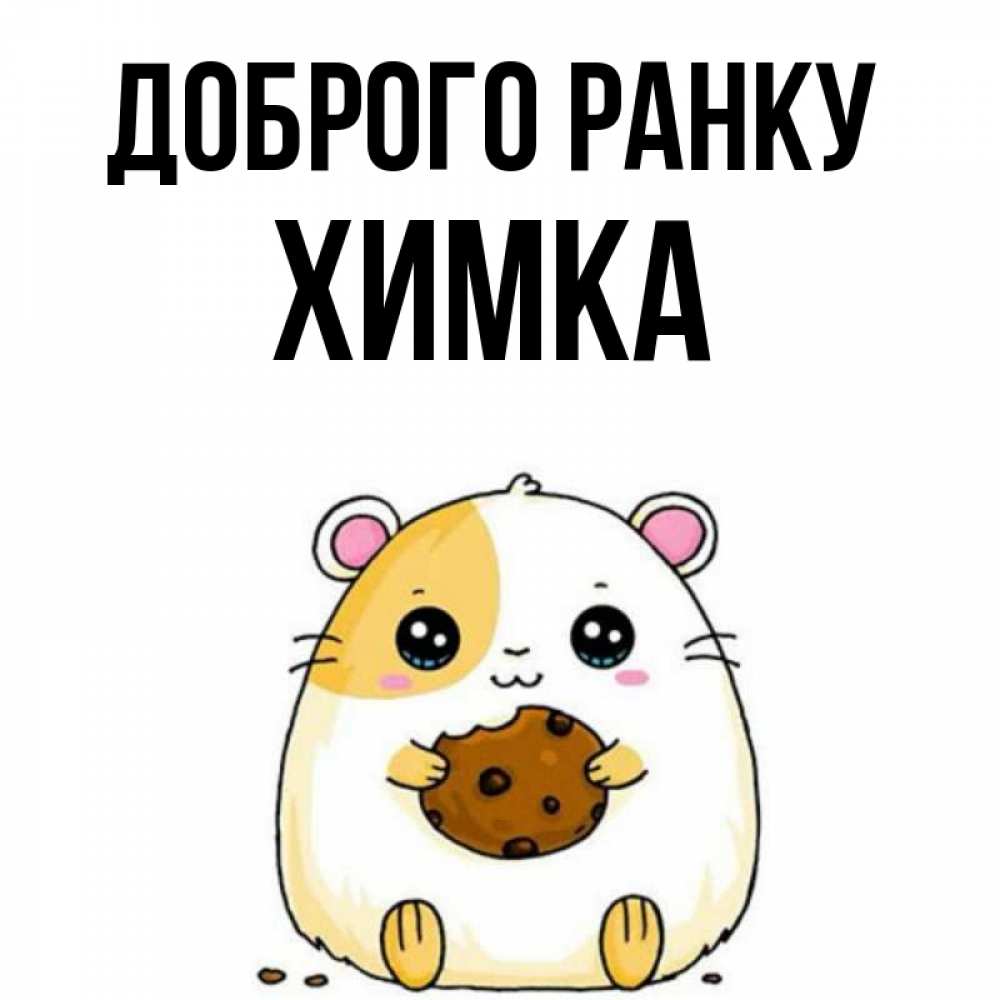 Открытка на каждый день з підписом, Химка Доброго ранку есть печеньку. Утречко Прикольна листівка з побажанням онлайн скачати безкоштовно 