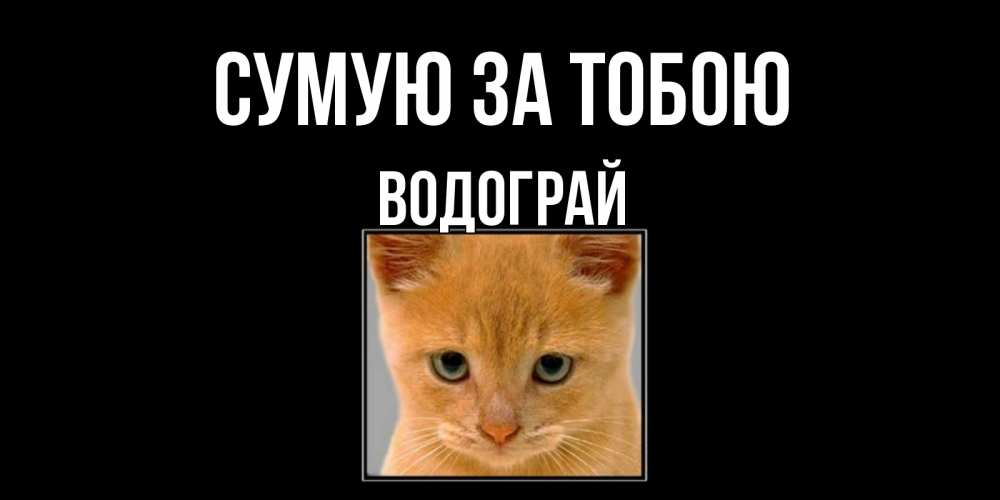 Открытка на каждый день з підписом, Водограй Сумую за тобою открытки рыжий котенок скучает по тебе Прикольна листівка з побажанням онлайн скачати безкоштовно 