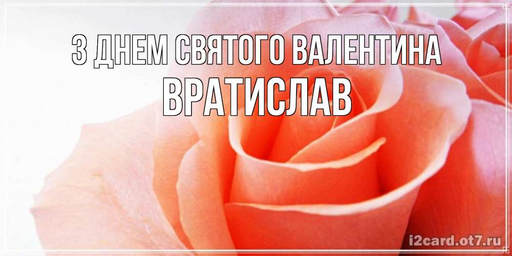 Открытка на каждый день з підписом, Вратислав З Днем Святого Валентина открытка на день Святого Валентина с розовой розой Прикольна листівка з побажанням онлайн скачати безкоштовно 