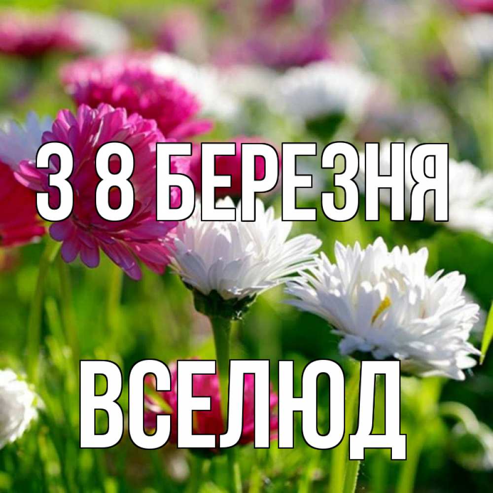 Открытка на каждый день з підписом, Вселюд З 8 БЕРЕЗНЯ международный женский день 1 Прикольна листівка з побажанням онлайн скачати безкоштовно 