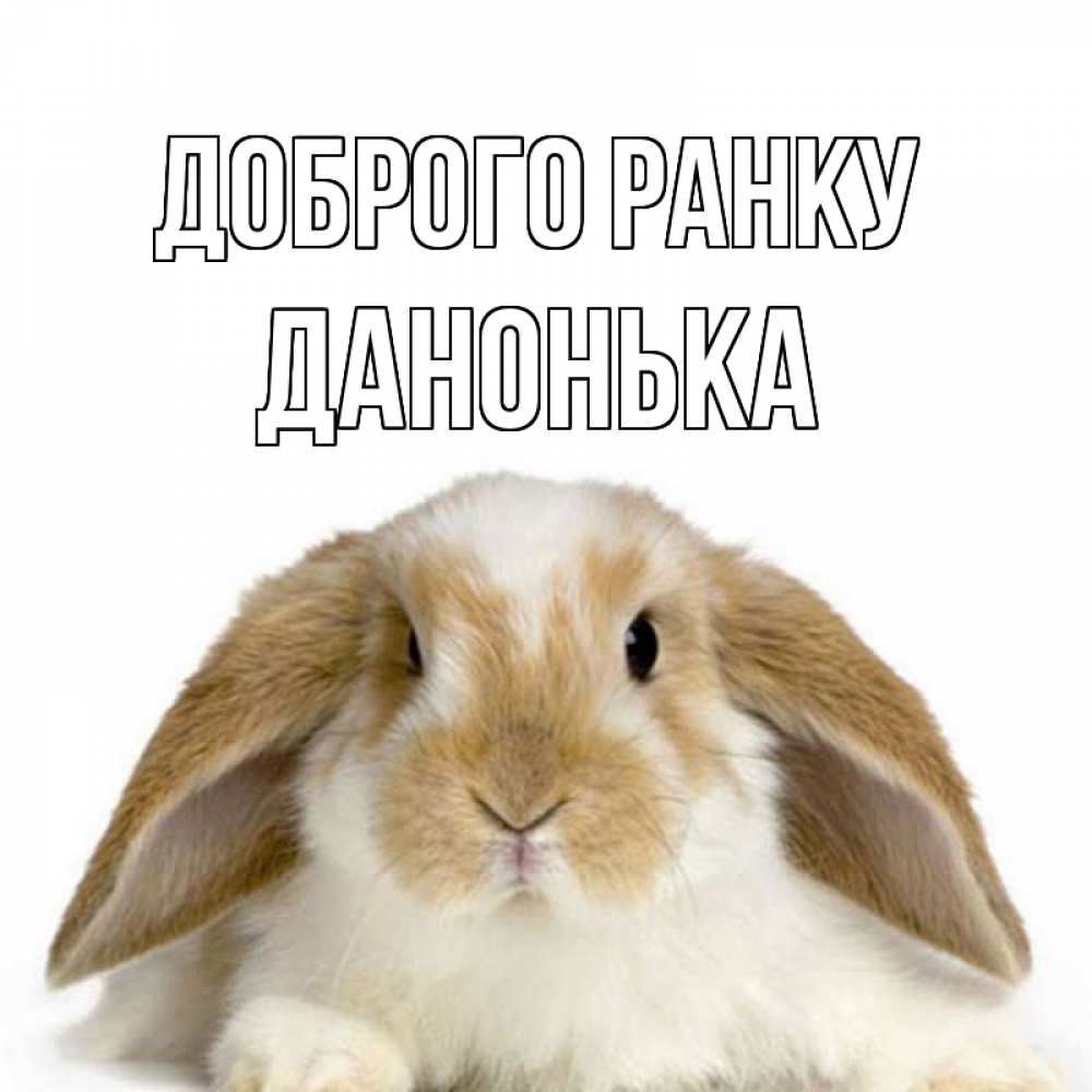 Открытка на каждый день з підписом, Данонька Доброго ранку прикольные открытки на каждый день Прикольна листівка з побажанням онлайн скачати безкоштовно 